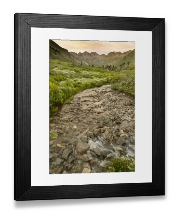 Framed Print : USA, Colorado. Mountain landscape with wildflowers and stream
