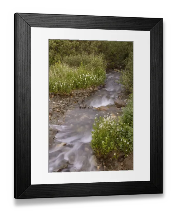 Framed Print : USA, Colorado. Mountain wildflowers and stream