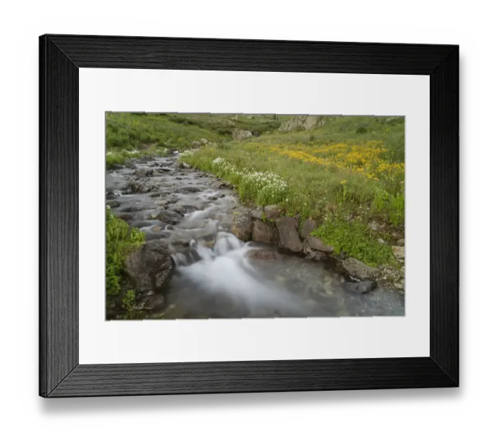 Framed Print : USA, Colorado. Mountain wildflowers and stream Framed Print : USA, Colorado. Mountain wildflowers and stream