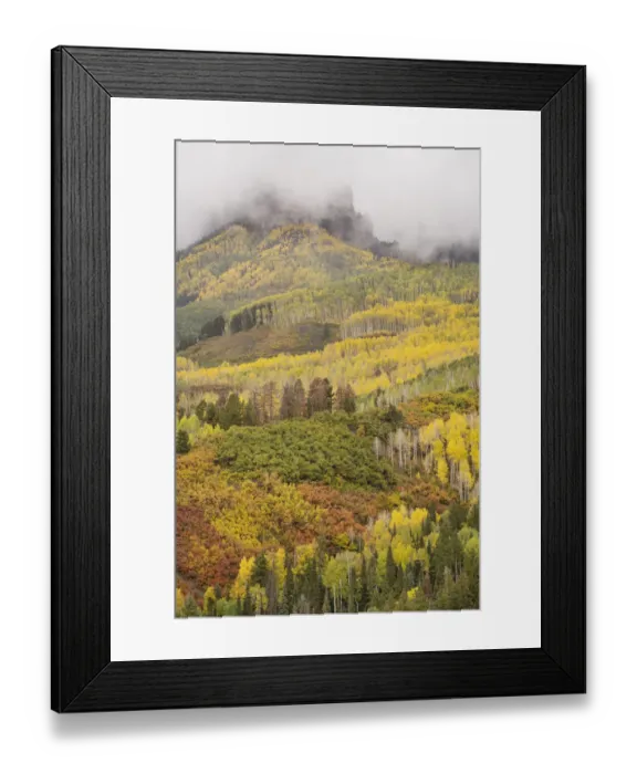 Framed Print : USA, Colorado, Uncompahgre National Forest. Cloud and autumn-colored forest Framed Print : USA, Colorado, Uncompahgre National Forest. Cloud and autumn-colored forest