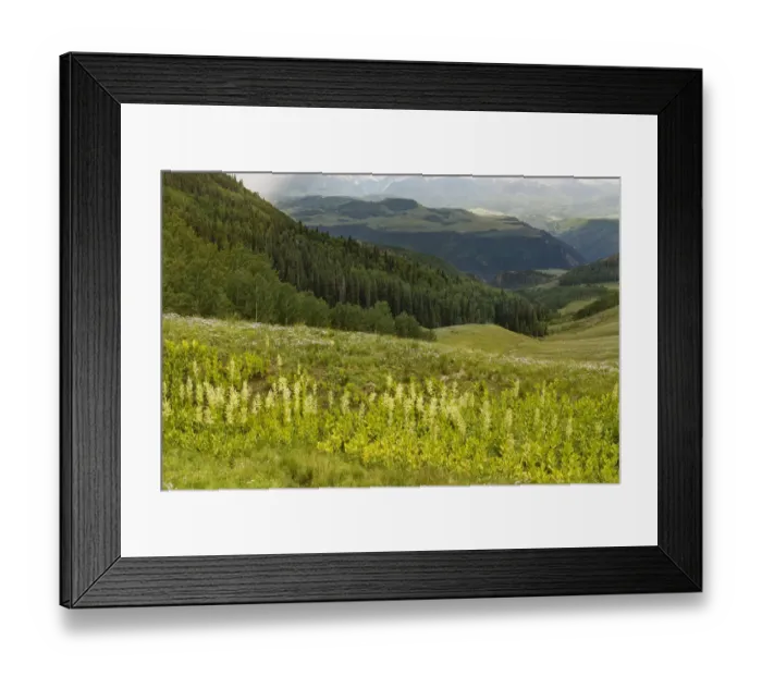 Framed Print : USA, Colorado, San Juan Mountains. Summer mountain landscape