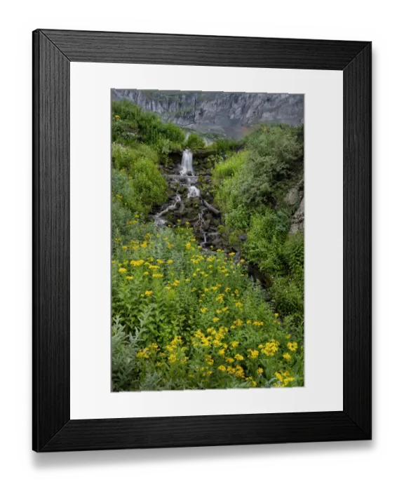 Framed Print : USA, Colorado, Uncompahgre National Forest. Mountain landscape with waterfall and wildflowers Framed Print : USA, Colorado, Uncompahgre National Forest. Mountain landscape with waterfall and wildflowers