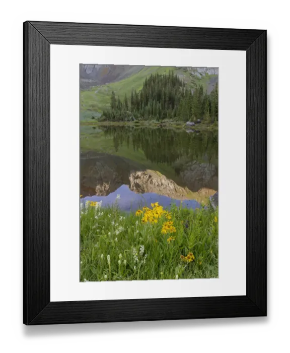 Framed Print : USA, Colorado, Uncompahgre National Forest. Mountain and forest sunrise reflects in lake