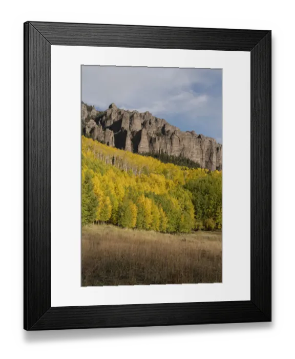 Framed Print : USA, Colorado, Uncompahgre National Forest. Mountain and forest in autumn Framed Print : USA, Colorado, Uncompahgre National Forest. Mountain and forest in autumn