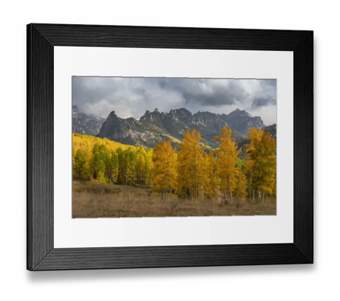 Framed Print : USA, Colorado, Uncompahgre National Forest. Mountain and forest in autumn Framed Print : USA, Colorado, Uncompahgre National Forest. Mountain and forest in autumn