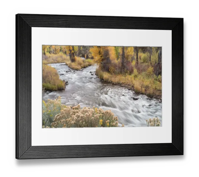 Framed Print : USA, Colorado, White River National Forest. Fryingpan River and autumn foliage