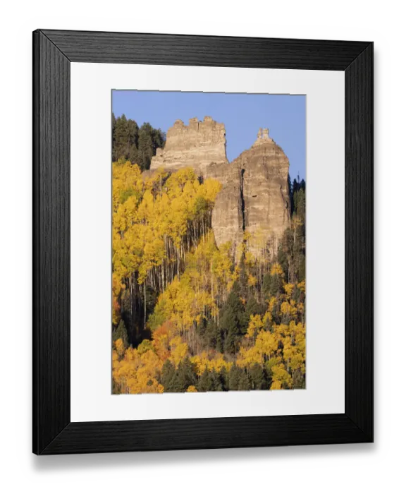 Framed Print : USA, Colorado, Uncompahgre National Forest. Pinnacle Ridge towers over aspens in autumn