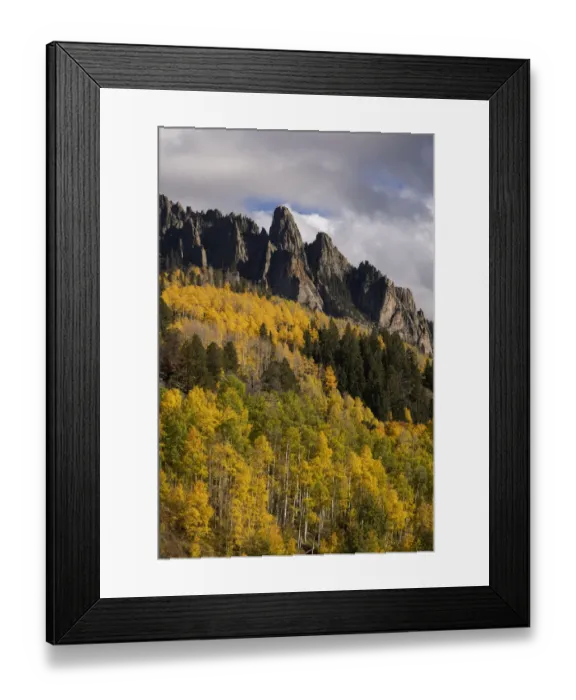 Framed Print : USA, Colorado, Uncompahgre National Forest. Mountain and forest in autumn Framed Print : USA, Colorado, Uncompahgre National Forest. Mountain and forest in autumn