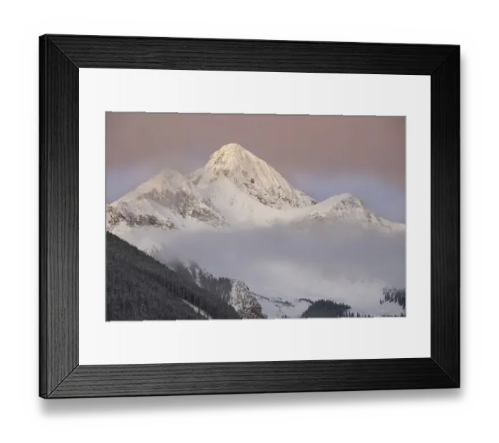 Framed Print : USA, Colorado, Uncompahgre National Forest. Autumn sunrise on Wilson Peak Framed Print : USA, Colorado, Uncompahgre National Forest. Autumn sunrise on Wilson Peak