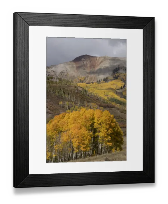 Framed Print : USA, Colorado, Uncompahgre National Forest. Autumn forest and mountain Framed Print : USA, Colorado, Uncompahgre National Forest. Autumn forest and mountain