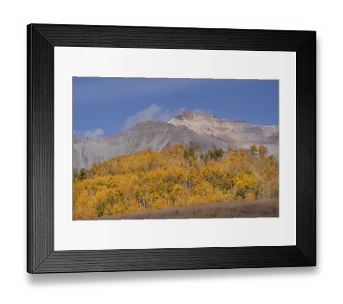 Framed Print : USA, Colorado, Uncompahgre National Forest. Autumn forest and mountain Framed Print : USA, Colorado, Uncompahgre National Forest. Autumn forest and mountain