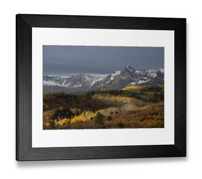 Framed Print : USA, Colorado, Uncompahgre National Forest. Snowy Sneffels Range and autumn forest