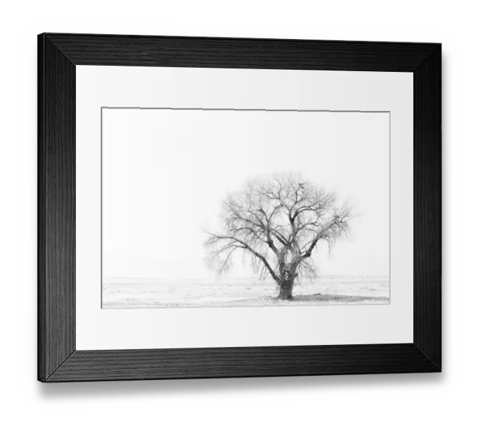 Framed Print : Lone tree Framed Print : Lone tree