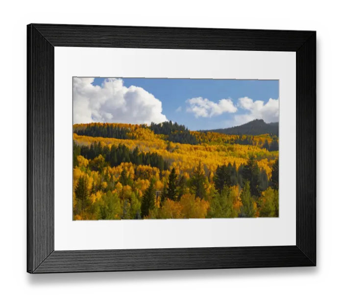 Framed Print : Two Creeks area of Aspen Snowmass ski resort in autumn Framed Print : Two Creeks area of Aspen Snowmass ski resort in autumn