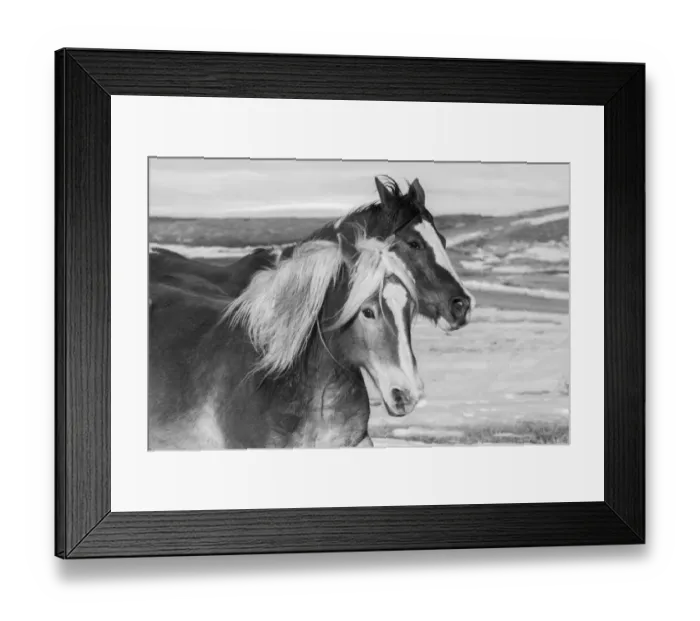 Framed Print : USA, Colorado, Westcliffe. Music Meadows Ranch. Ranch horses in winter. (PR) Framed Print : USA, Colorado, Westcliffe. Music Meadows Ranch. Ranch horses in winter. (PR)