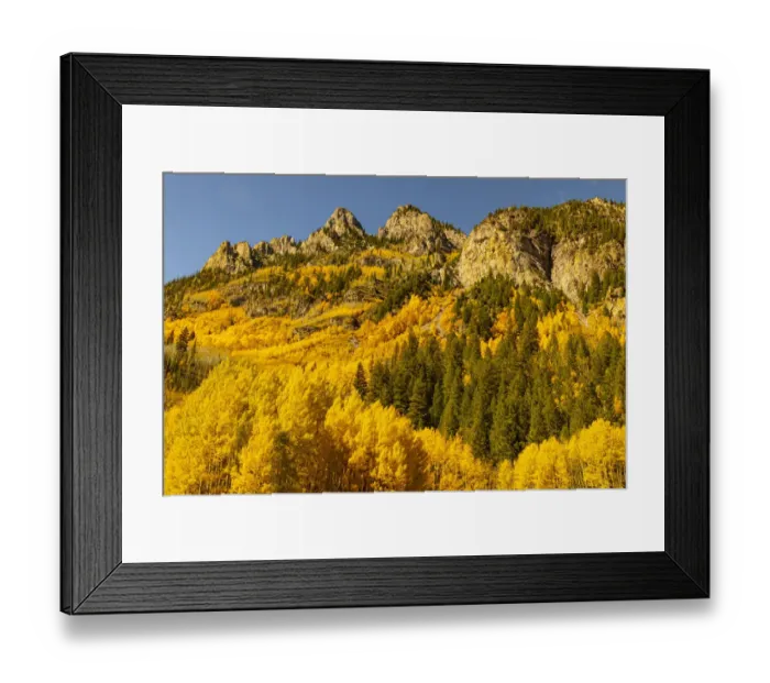 Framed Print : Maroon Bells-Snowmass Wilderness in Aspen, Colorado in autumn