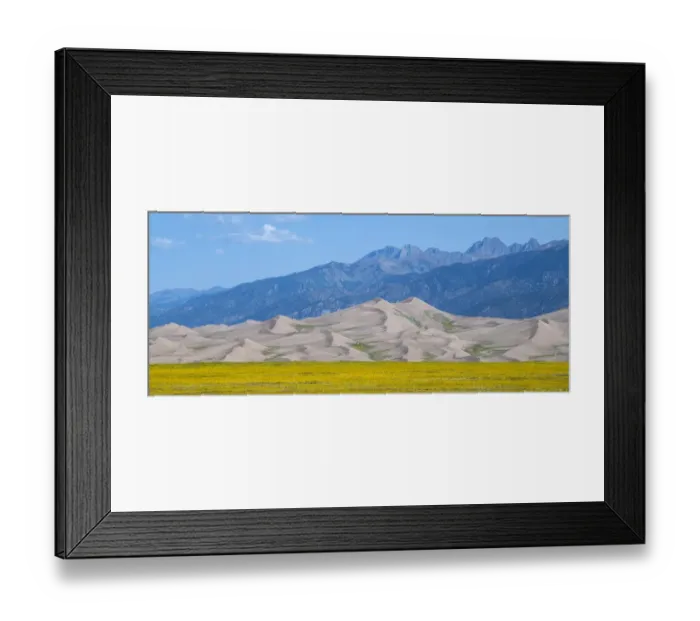 Framed Print : USA, Colorado, San Luis Valley, Great Sand Dunes National Park. Wild sunflowers in front of sand dunes, Sangre de Cristo mountain range in the distance