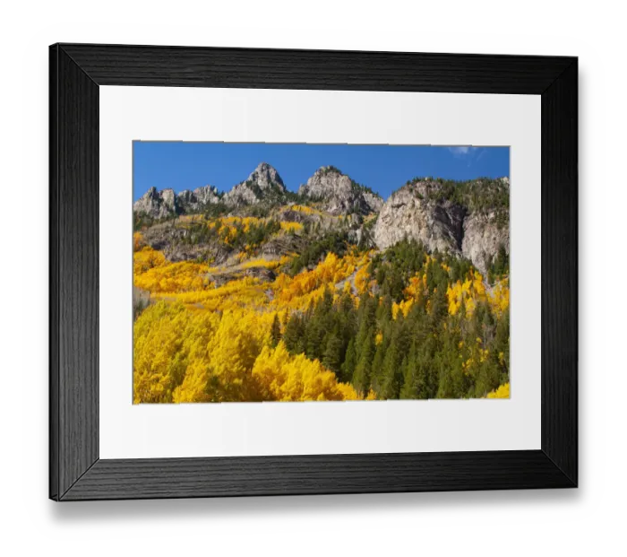 Framed Print : Aspen, Colorado. Maroon Bells-Snowmass Wilderness Framed Print : Aspen, Colorado. Maroon Bells-Snowmass Wilderness