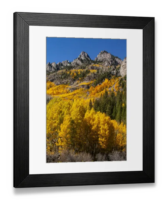 Framed Print : Maroon Bells-Snowmass Wilderness in autumn Framed Print : Maroon Bells-Snowmass Wilderness in autumn