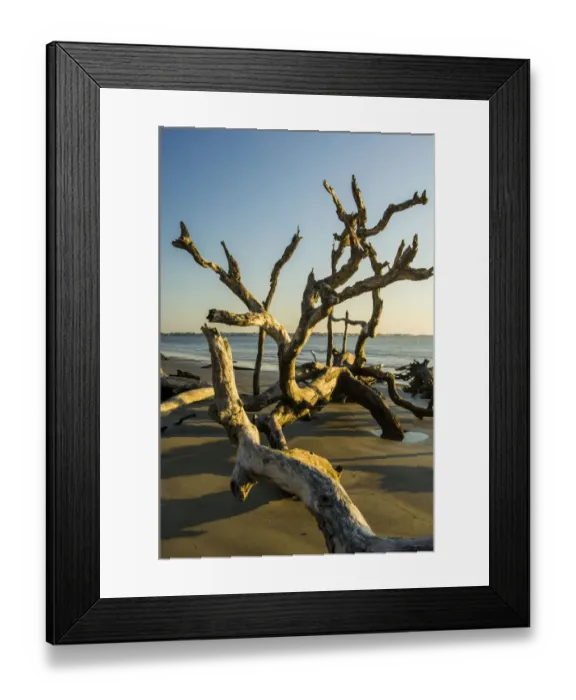 Framed Print : USA, Jekyll Island Framed Print : USA, Jekyll Island
