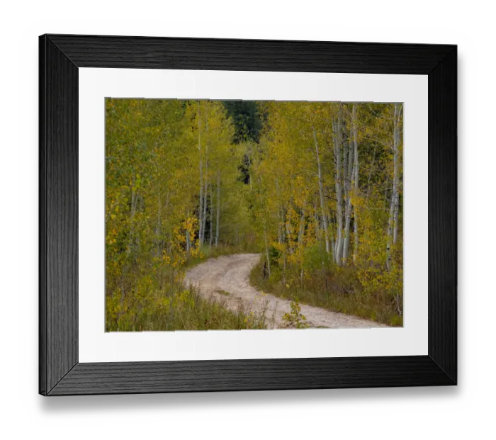 Framed Print : USA, Idaho, Highway 36 west of Liberty dirt road and Aspens in autumn Framed Print : USA, Idaho, Highway 36 west of Liberty dirt road and Aspens in autumn