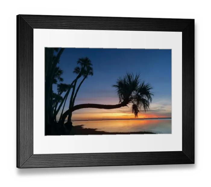 Framed Print : Sable palm tree silhouetted along shoreline of Harney Lake at sunset, Florida Framed Print : Sable palm tree silhouetted along shoreline of Harney Lake at sunset, Florida