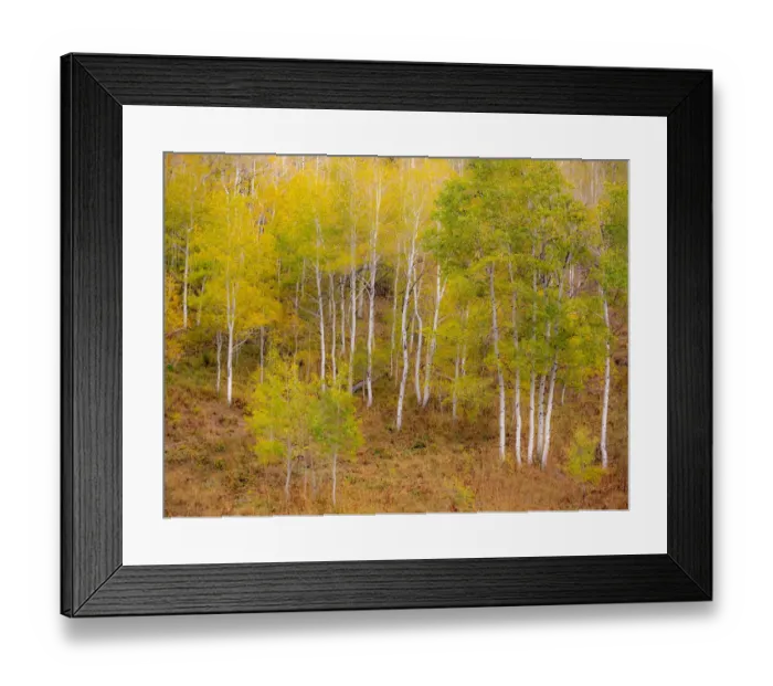 Framed Print : USA, Idaho, Highway 36 west of Liberty and hillsides covered with Aspens in autumn Framed Print : USA, Idaho, Highway 36 west of Liberty and hillsides covered with Aspens in autumn