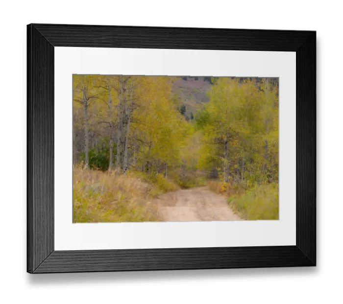 Framed Print : USA, Idaho, Highway 36 west of Liberty dirt road and Aspens in autumn Framed Print : USA, Idaho, Highway 36 west of Liberty dirt road and Aspens in autumn