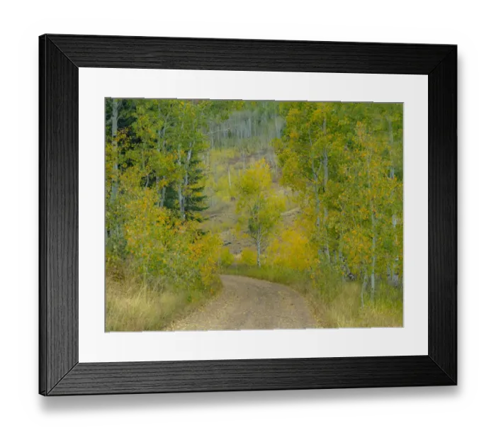 Framed Print : USA, Idaho, Highway 36 west of Liberty dirt road and Aspens in autumn