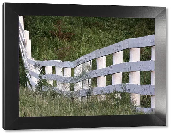 White wooden fence across rolling hill, Shaker Village of Pleasant Hill, Harrodsburg, Kentucky