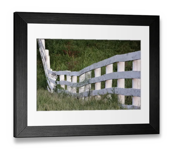 Framed Print : White wooden fence across rolling hill, Shaker Village of Pleasant Hill, Harrodsburg, Kentucky