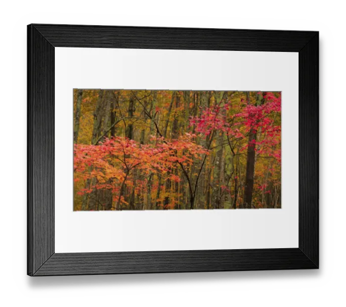 Framed Print : USA, Maine, Acadia National Park