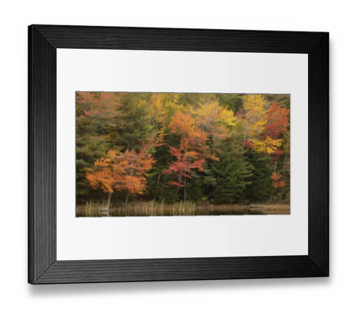 Framed Print : USA, Maine, Acadia National Park. Forest reflections in lake