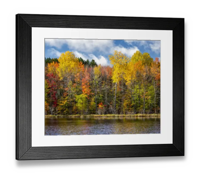 Framed Print : USA, Michigan, Upper Peninsula, Munising. Autumn trees at Thornton Lake Framed Print : USA, Michigan, Upper Peninsula, Munising. Autumn trees at Thornton Lake