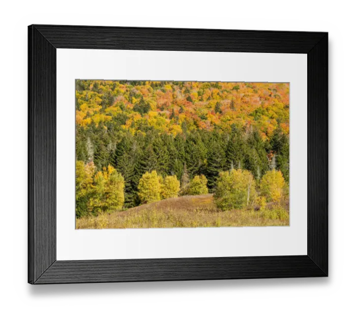 Framed Print : USA, New Hampshire, fall foliage Bretton Woods at base of Mount Washington Framed Print : USA, New Hampshire, fall foliage Bretton Woods at base of Mount Washington