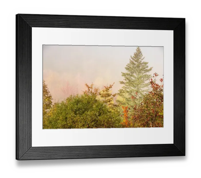 Framed Print : USA, New Hampshire, fall foliage north of Whitefield, along Rt. 3 Framed Print : USA, New Hampshire, fall foliage north of Whitefield, along Rt. 3
