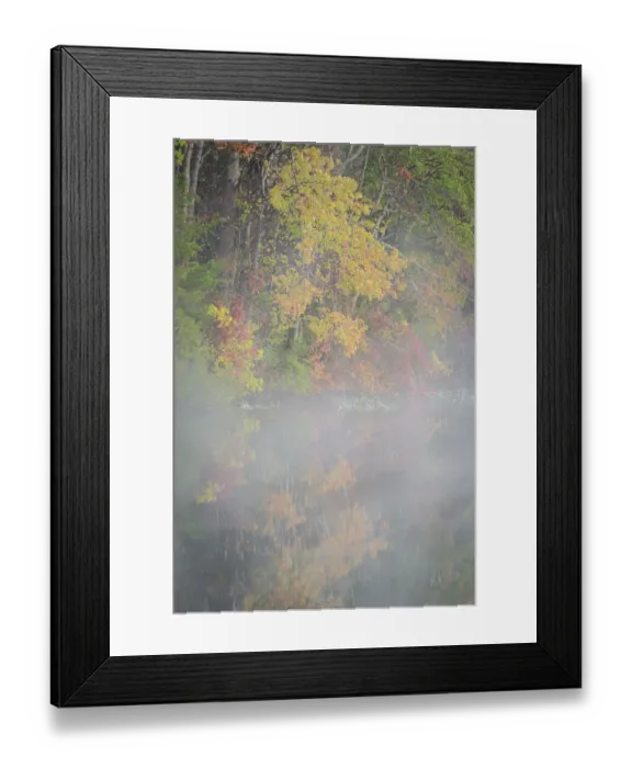 Framed Print : USA, New Jersey, Pine Barrens National Preserve. Foggy forest and lake landscape Framed Print : USA, New Jersey, Pine Barrens National Preserve. Foggy forest and lake landscape