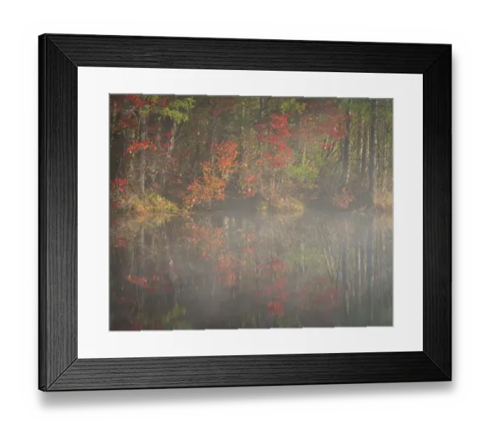 Framed Print : USA, New Jersey, Pine Barrens National Preserve. Foggy forest and lake landscape