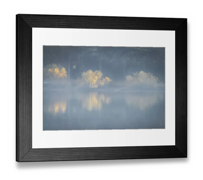 Framed Print : USA, New Jersey, Cape May National Seashore. Foggy forest reflections on lake at sunrise Framed Print : USA, New Jersey, Cape May National Seashore. Foggy forest reflections on lake at sunrise