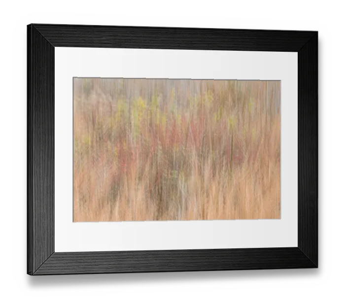 Framed Print : USA, New Jersey, Cape May. Abstract of trees in autumn foliage