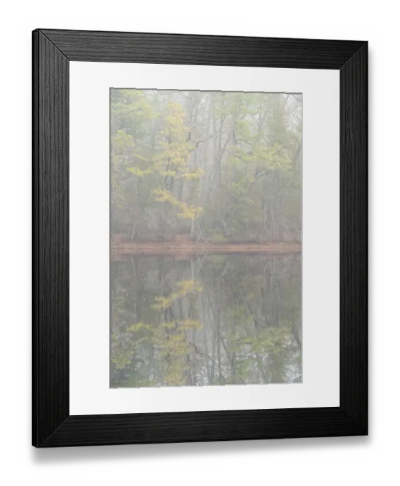 Framed Print : USA, New Jersey, Pine Barrens National Preserve. Foggy forest landscape reflects in lake