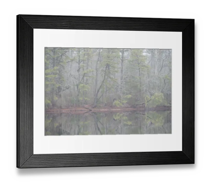 Framed Print : USA, New Jersey, Pine Barrens National Preserve. Foggy forest landscape reflects in lake Framed Print : USA, New Jersey, Pine Barrens National Preserve. Foggy forest landscape reflects in lake
