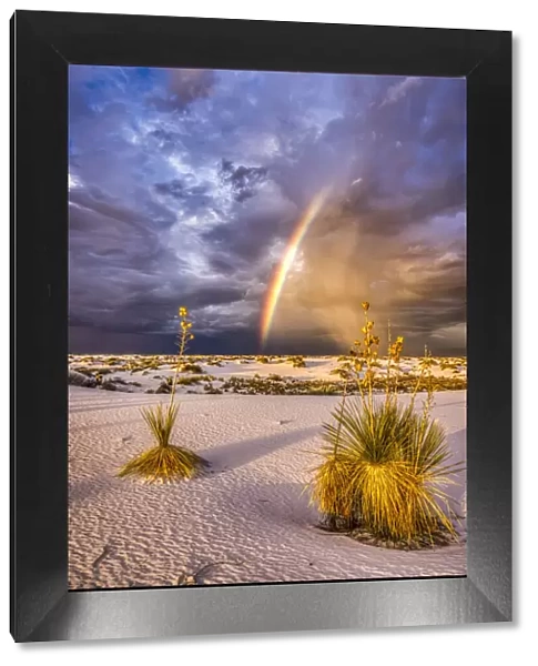 USA, New Mexico, White Sands National Park. Thunderstorm rainbow over desert