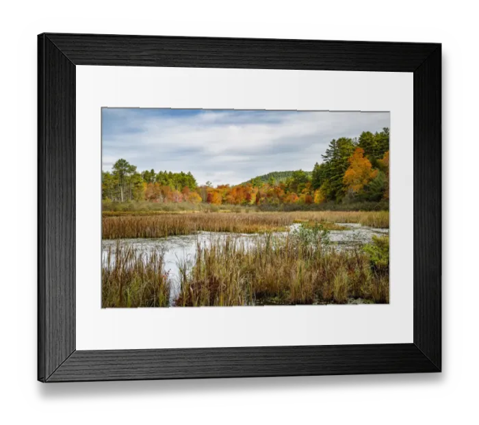 Framed Print : USA, New York, Adirondacks. Bolton Landing, forest preserve marsh near Lake George Framed Print : USA, New York, Adirondacks. Bolton Landing, forest preserve marsh near Lake George
