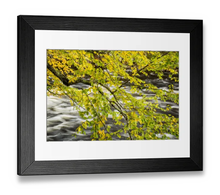 Framed Print : USA, New York, Adirondacks. Long Lake, Raquette River flows behind autumn foliage