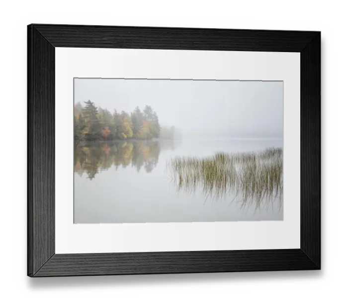 Framed Print : USA, New York, Adirondacks. Long Lake, reeds, fog, and fall foliage at Eaton Lake Framed Print : USA, New York, Adirondacks. Long Lake, reeds, fog, and fall foliage at Eaton Lake