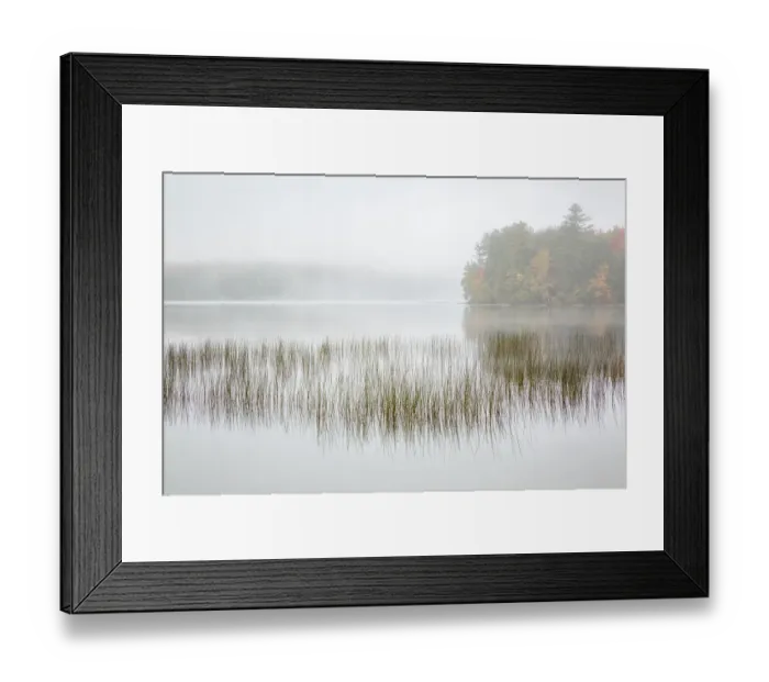 Framed Print : USA, New York, Adirondacks. Long Lake, foggy morning, reeds, and loon on Eaton Lake