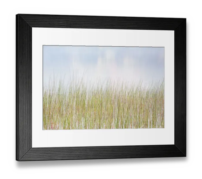 Framed Print : USA, New York, Adirondacks. Long Lake, reeds, fog, and reflected fall color at Eaton Lake