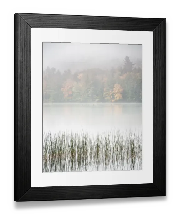 Framed Print : USA, New York, Adirondacks. Long Lake, reeds, fog, and fall foliage at Eaton Lake Framed Print : USA, New York, Adirondacks. Long Lake, reeds, fog, and fall foliage at Eaton Lake