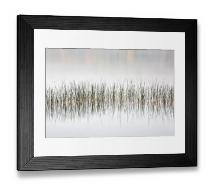 Framed Print : USA, New York, Adirondacks, Long Lake, Reeds, fog, and fall foliage at Eaton Lake